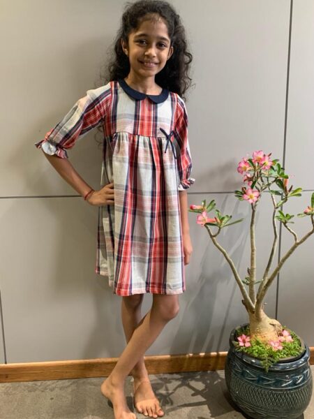 Red and Blue Checkered Dress