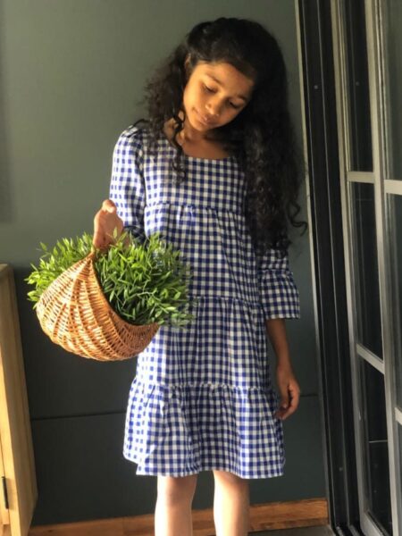 Blue Checkered Frill Dress