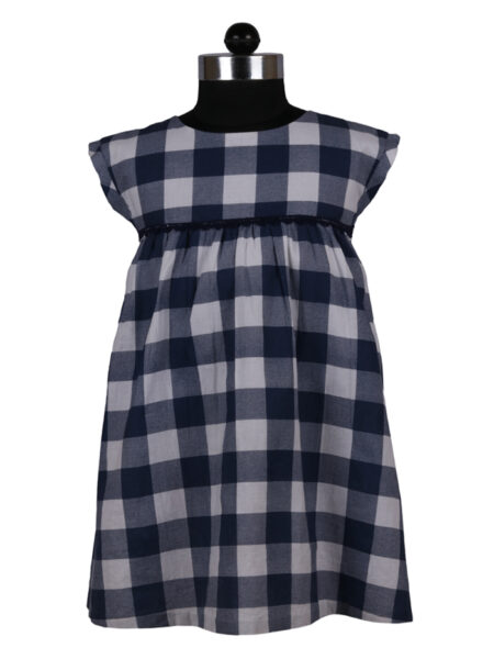 Blue White  Checkered Dress