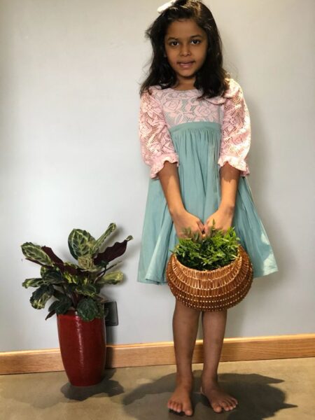 Green and Pink Net Dress